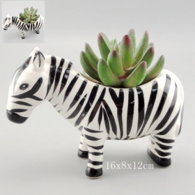 Zebra Sukkulenten Topf Mini Keramik Blumentopf