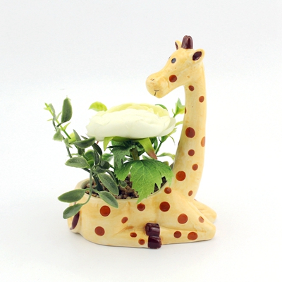 giraffe ceramic flower pot
