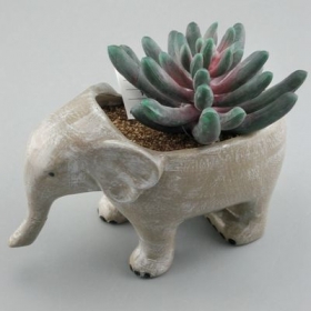 Elefant Sukkulenten Pflanzer Keramik Tier Topf
