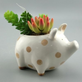 Schwein Mini-Pflanzgefäß Tier Keramiktopf