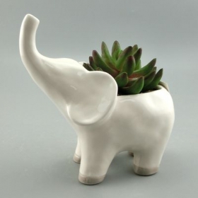 Elefant Pflanzer Vase weiß Keramik Tier Topf
