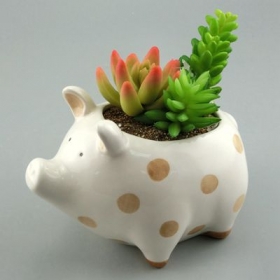 Schwein Mini-Pflanzgefäß Tier Keramiktopf