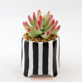 Schwarze Punkte Mini Keramik Succulent Pflanzentöpfe Schwarze Streifen Terrakotta Mini Pot