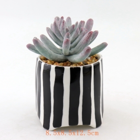 Schwarze Punkte Mini Keramik Succulent Pflanzentöpfe Schwarze Streifen Terrakotta Mini Pot